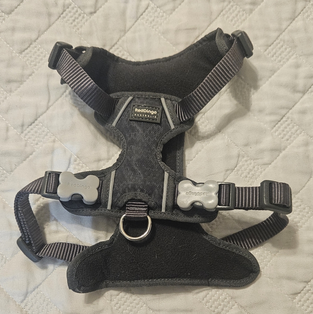 Pet Harness